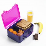 Picture of a lunchbox