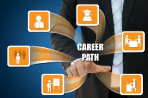 Career path