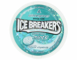 IceBreakers