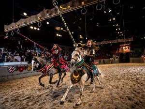 MedievalTimes