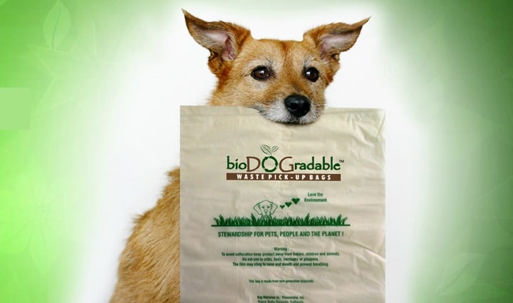 bioDOGradable dog waste bag