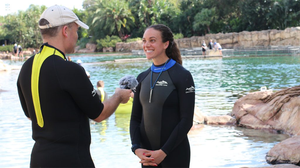 sea world discovery cove interview