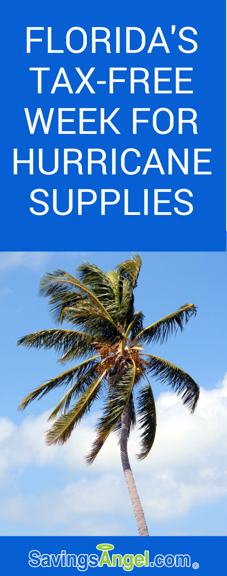 Smart Shopping During Hurricane Supply TaxFree Week